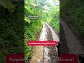 excavator mini harus pulang lebih awal #excavator #alatberat #videoalatberatyt