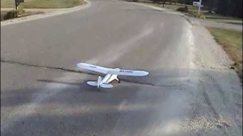 Hobby Zone Super Cub LP Bird vs R/C Plane - Landing Skills