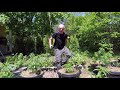 The Craft Grower Season two episode one