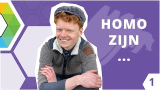 Homo Zijn Ronne Holybe