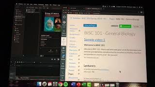 Video Lectures Basics, Lesson 3:  Uploading videos to CANVAS (not recommended)