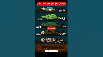 #quran #اكسبلور #إسلام_صبحي #لايك #تلاوة_خاشعة #عبدالرحمن_مسعد #سورة_يس #ترند #ماهر_المعيقلي #هزاع_ا