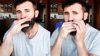Man Beatboxes Whilst Playing The Harmonica