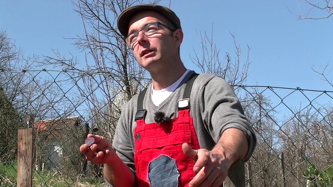 Svet baštovanstva ep.53 07.04.2019. - Setva krompira, sorte i boje slatkog krompira