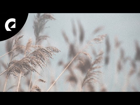 Mira Northside - BUSTED (Royalty Free Music) en YouTube Mira Northside - BUSTED (Royalty Free Music) en YouTube