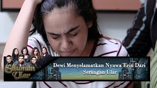 Dewi Menyelamatkan Nyawa Erin Dari Serangan Ular - Siluman Ular Eps 2
