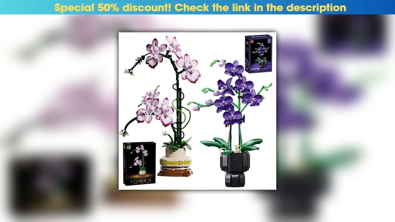 Hands-on Creative Orchid Cymbidium Eternal Flowers Potted Plant Building Blocks Simulation Phalaeno