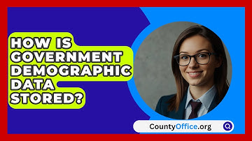 How Is Government Demographic Data Stored? - CountyOffice.org