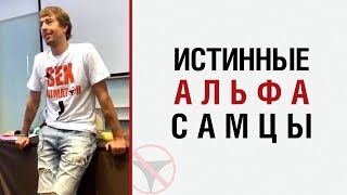 Алекс Лесли об истинных альфа-самцах