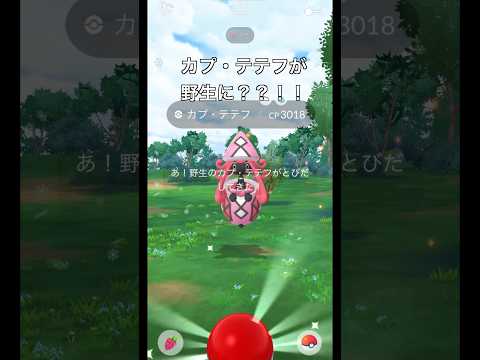 【ポケモンGO】カプ・テテフが野生に？？！！！#ポケモンgo #ポケモン #カプテテフ