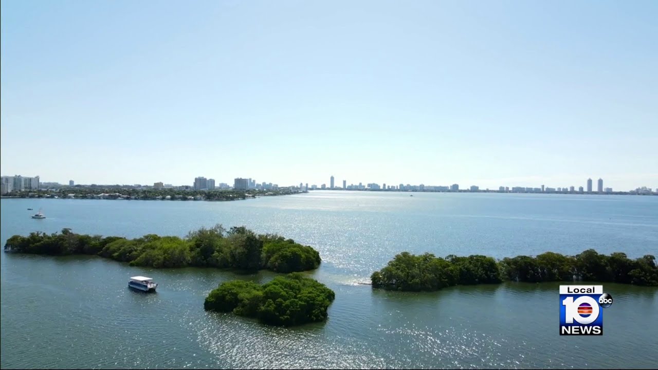 South Florida activists hope Bird Key doesn’t fly off to developer after being listed for sale