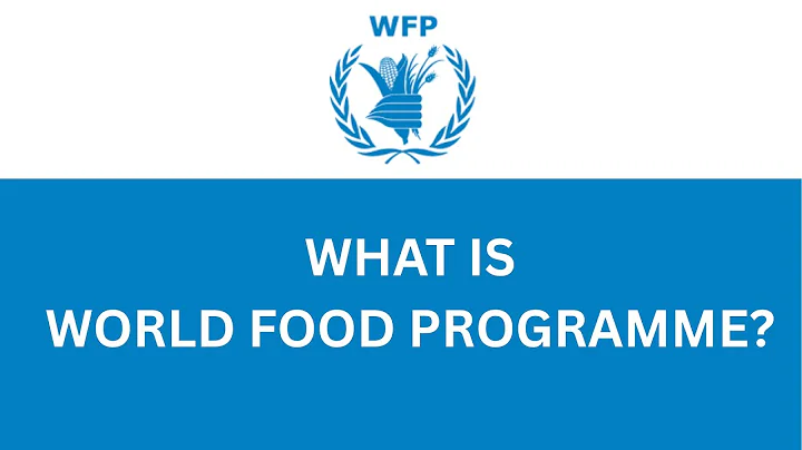 WHAT IS WFP?