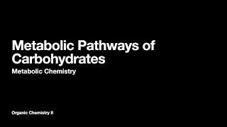 Metabolic Pathways for Carbohydrates | Lecture 2 | Organic Chemistry II