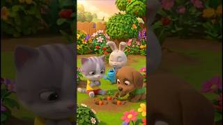 Full Mimi’s Magic Carrot Garden 🥕 | A Fun Kids Story About Patience & Teamwork | The Kiddy Show #kidsblog Guide