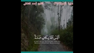 أَلَيْسَ اللَّهُ بِكَافٍ عَبْدَهُ ۖ) بصوت القارئ أحمد الشاذلي #راحة لقلبك #القرآن الكريم #Qur'an