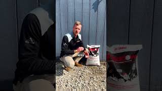 This Is The Best Ice Melt For Your Pavement