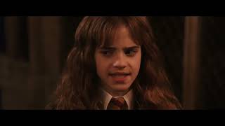 Harry Potter And The Chamber Of Secrets - The Writing On The Wall