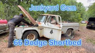Will it run and drive? Rare 66 Dodge shortbed junkyard jewel must be saved! This is a nice ride!