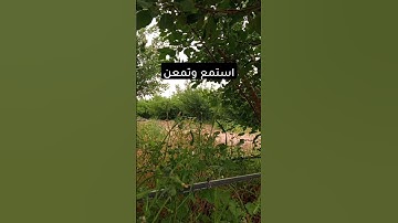 #قرآن #قران_كريم #سورة_البقرة #آية_الكرسي #الحمدلله #التوحيد