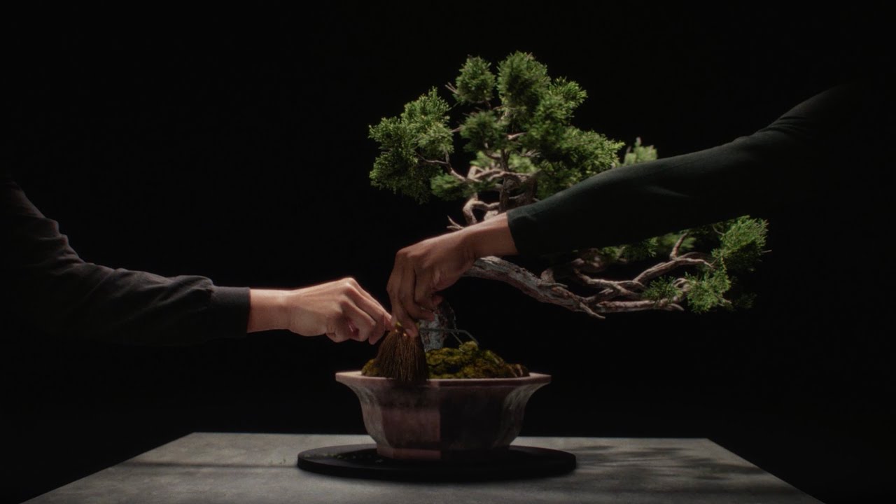 Capital Group - Crafted to Endure: Bonsai