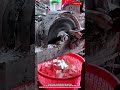 Rotary Disc Cutting Machine 1200 RPM High Speed Precision Slicing Tool for Food Processing