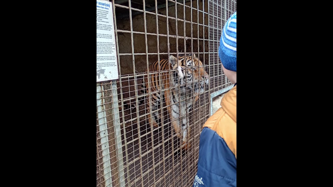 Ahoj a dej odběr prosim🥹🥹