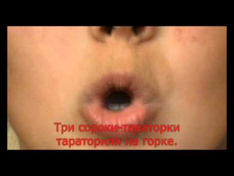 Три сороки тараторки