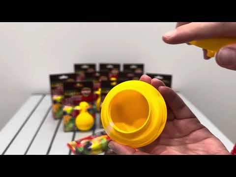 Пастка плодових (фруктових) мошок Arox, видео 1