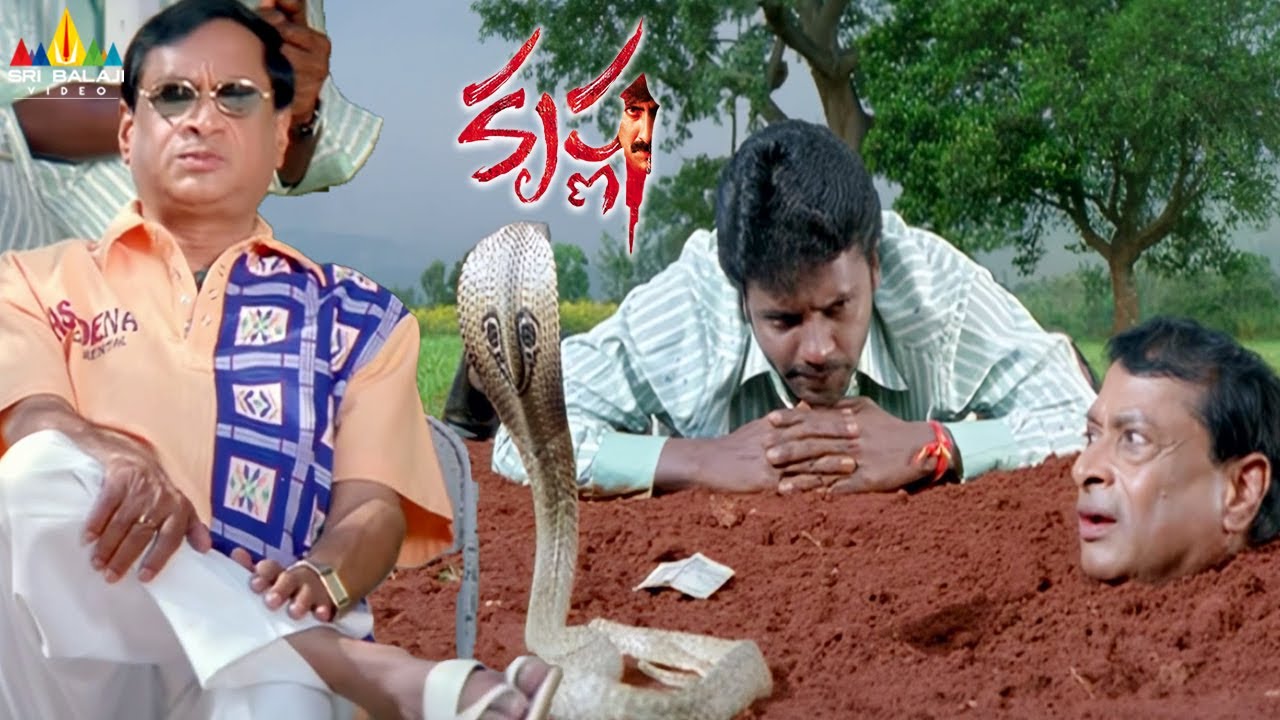 MS Narayana and Satyam Rajesh Super Comedy Scene | Krishna Movie Scene | Ravi Teja | Trisha