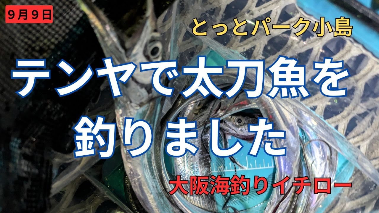 テンヤで太刀魚を釣りました【とっとパーク小島】
