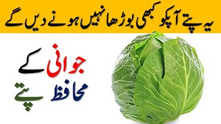 Ye Patte Aap Ko Kabhi Boodha Nahi Hone Denge