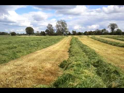 Mark Rickards At The Silage 2011 In Co.Meath Athbo...