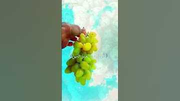 سورة #لقمان # الآية #《11》