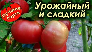 Конфетка бифштекс - САМЫЙ УРОЖАЙНЫЙ И СЛАДКИЙ ТОМАТ (лучшие сорта томатов)