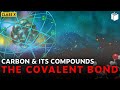 The Covalent Bond | Chapter 4 | Class 10 | PuStack