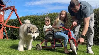 Kids Carboot Haul! Even The Dogs Got Gifts!!