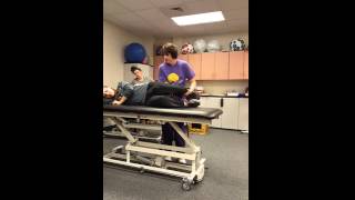 MMT gravity eliminated gluteus maximus MMT gravity eliminated gluteus maximus