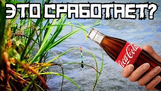 видео: ЖУТЬ! Закормил Речку КОКА-КОЛОЙ и ПОШЛО! Рыбалка в ИЮЛЕ 2025 картинка: ЖУТЬ! Закормил Речку КОКА-КОЛОЙ и ПОШЛО! Рыбалка в ИЮЛЕ 2025