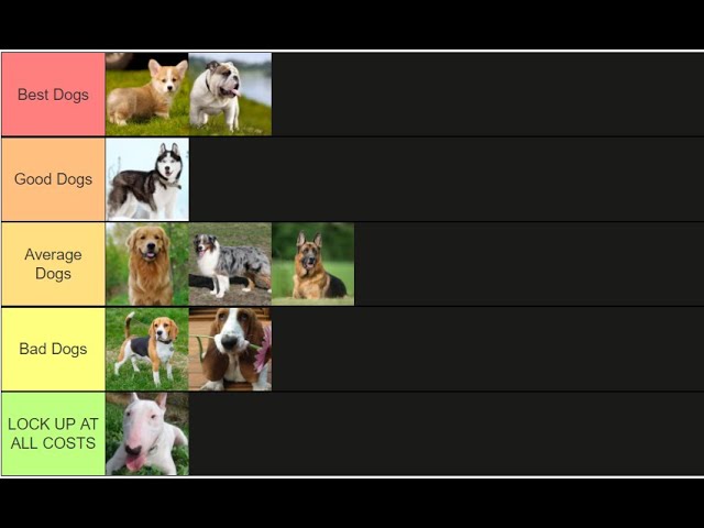 The Dog Tier List 