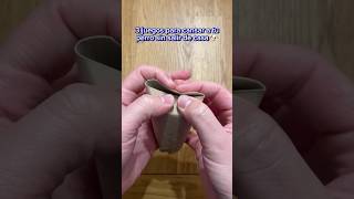 Games to tire out your dog 😍🐶 screenshot 4