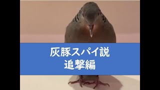 暇空茜の配信のサムネイル画像