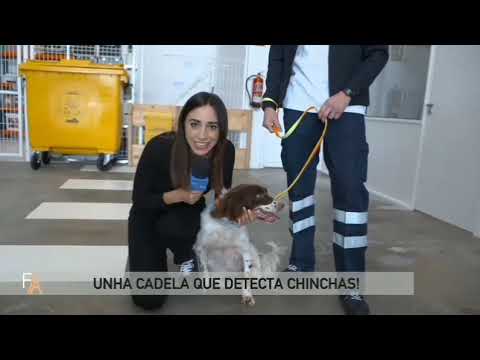 PLAGOO Gestion y Control de plagas