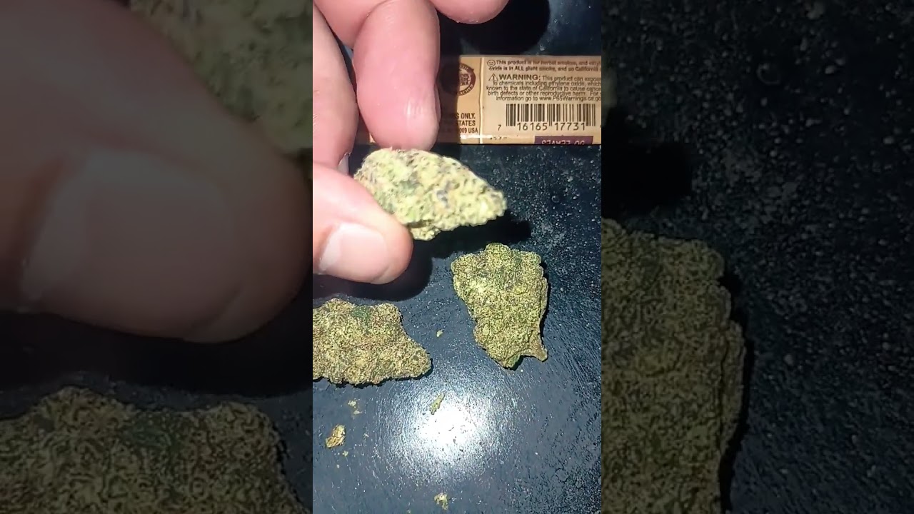 Gush Mints strain review