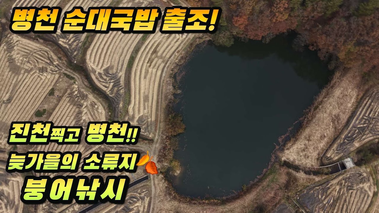 [충남 천안권] 늦가을의 소류지🍂 붕어낚시#문기어#슬로우찌#국제아르스#불당동강성구#두정동리틀방콕#백석동육향정#서진레져곁다리