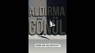 Hasan - Aldırma Gönül