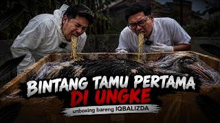 UNGBOXING BANGKE BURUNG UNTA ft @Iqbalizda