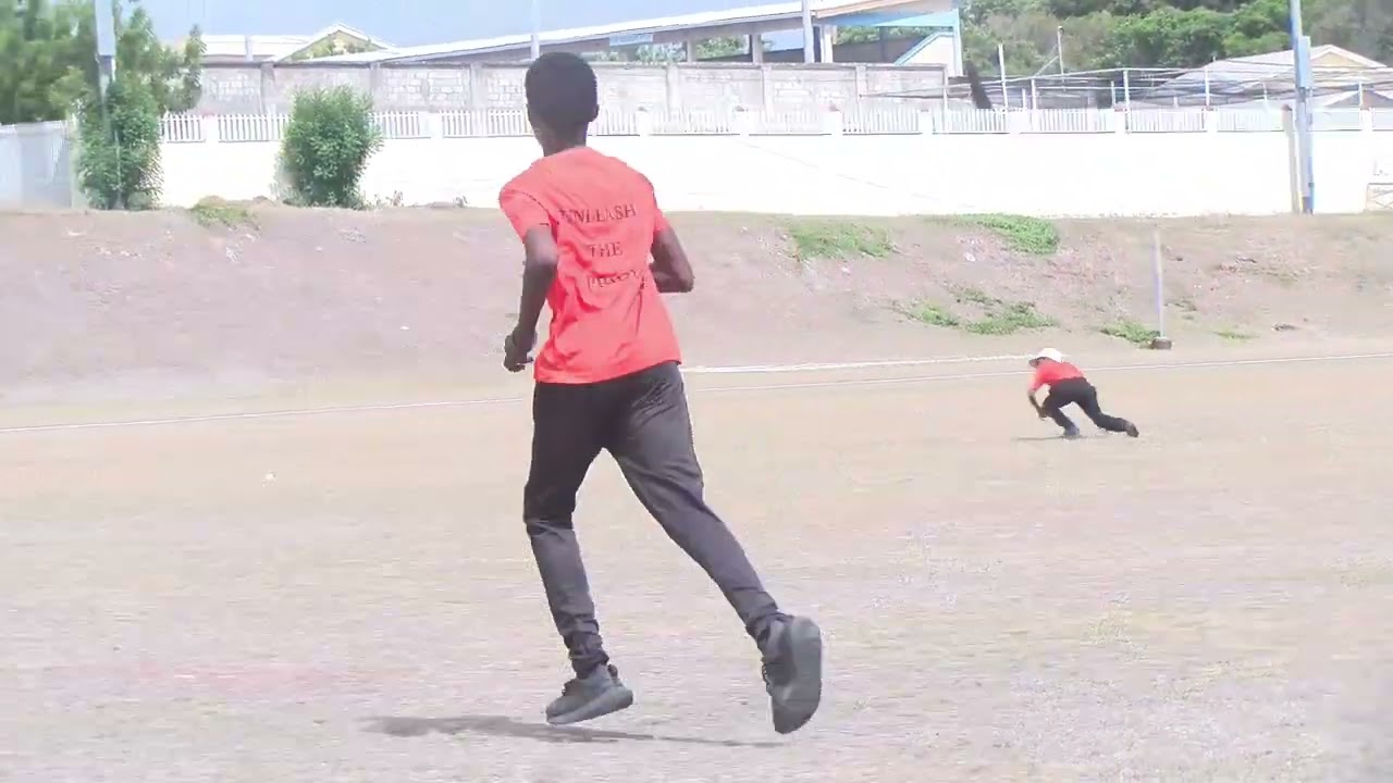 PRIMARY SCHOOLS CRICKET CPS V VOJN