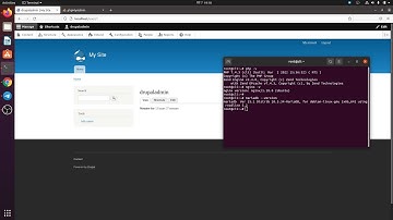 I Will Do Anything Goes Drupal Installation Service Using LEMP Stack With phpMyadmin