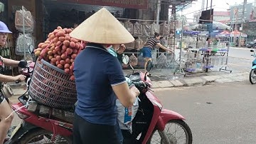 Giá vải U Hồng đã giảm. Ngã ba Nghĩa Hồ ngày 25/5/2024.