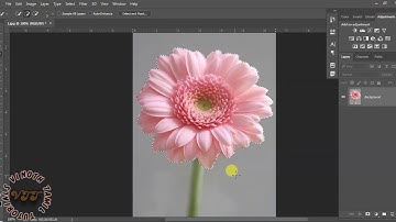 Quick Selection Tool and Magic Wand Tool in Photoshop CC 2018 learn in Tamil